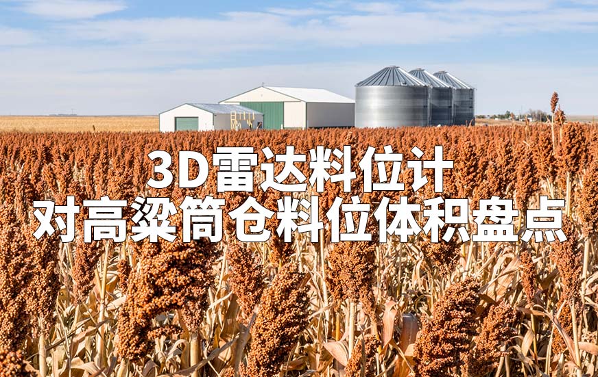 3D雷達(dá)料位計(jì)如何對(duì)高粱筒倉(cāng)料位體積盤點(diǎn)